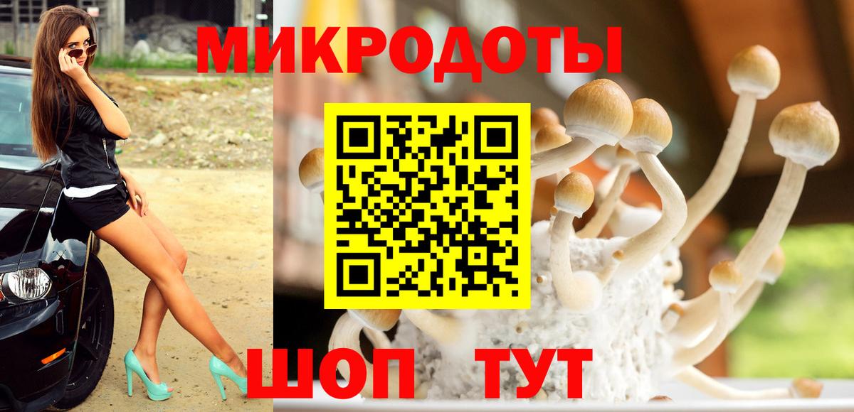 Ишим  Галлюциногенные грибы мухоморы  Вход с VPN 